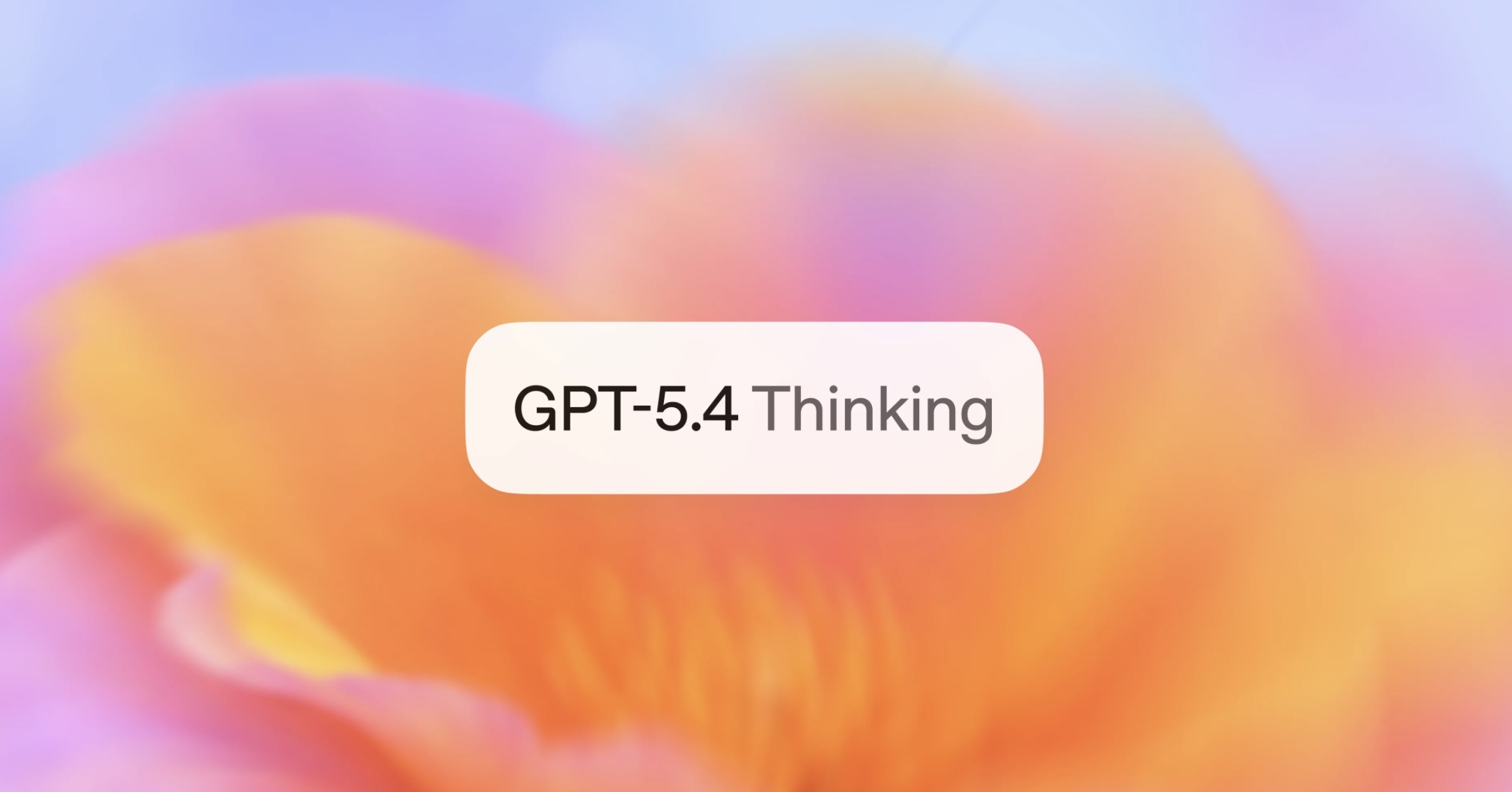 OpenAI beisst zurück